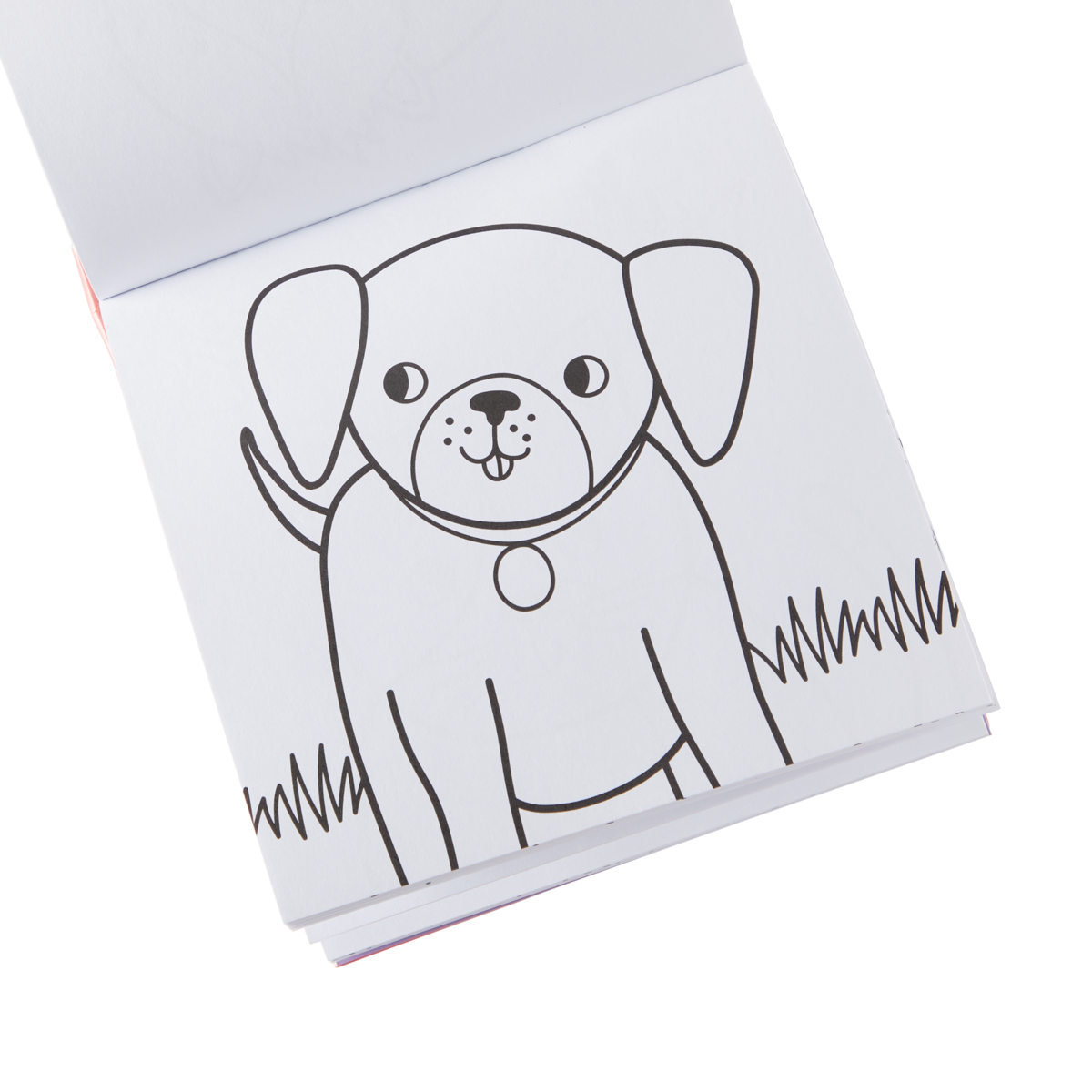 Carry Along Crayon & Colouring Book Kit - Pet Pals