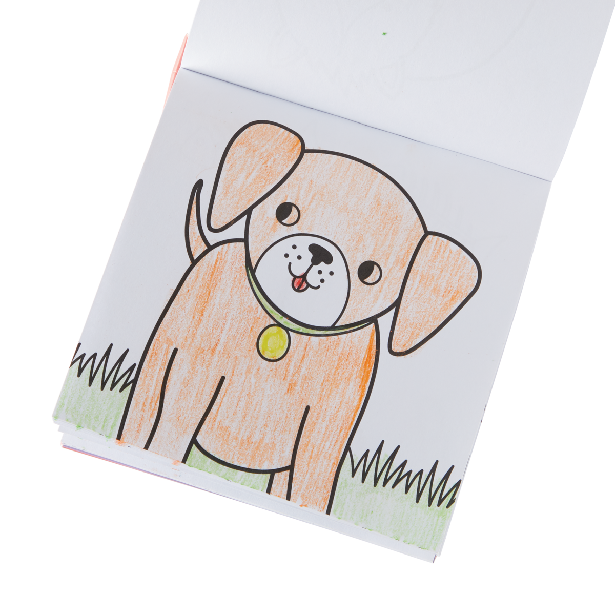 Carry Along Crayon & Colouring Book Kit - Pet Pals
