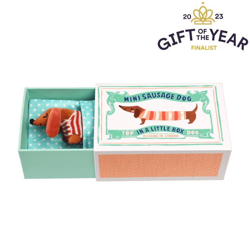 Mini Sausage Dog in a Box