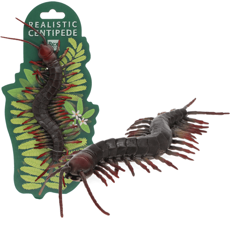 Realistic Centipede Toy