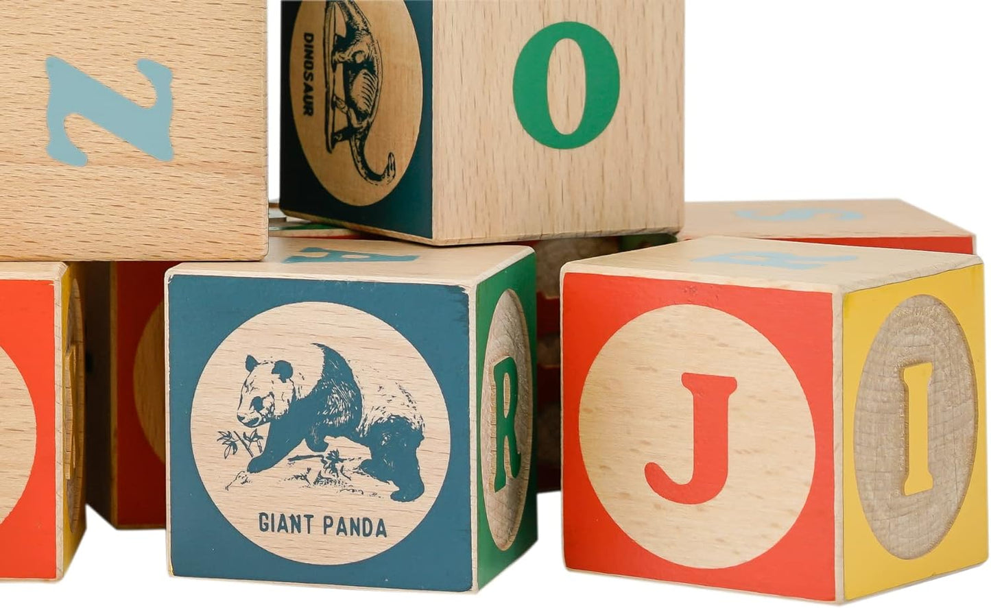 Mr Dendro Classic ABC Blocks (English)
