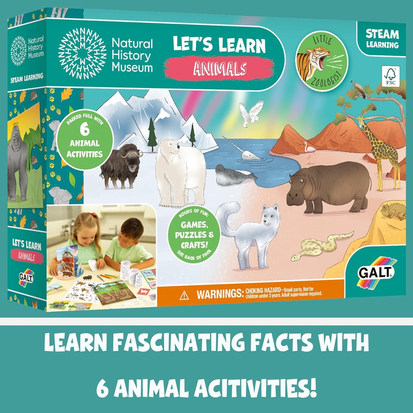 Let's Learn Animals