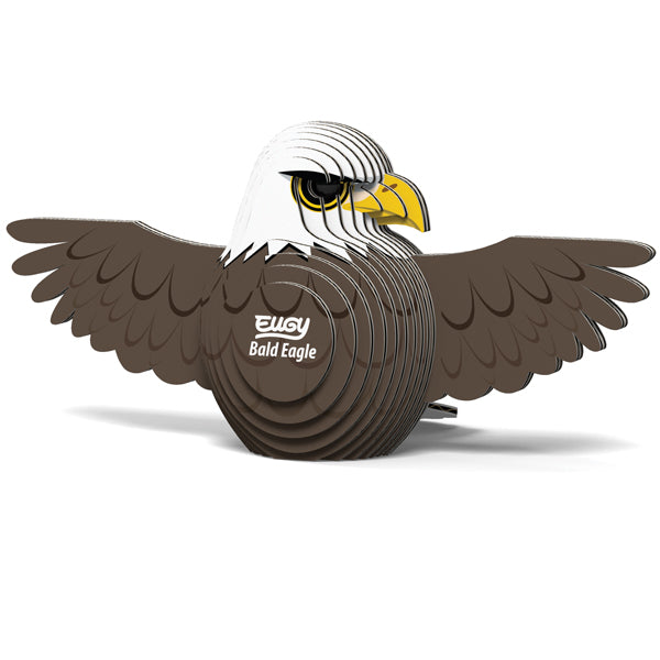 Eugy Bald Eagle 022