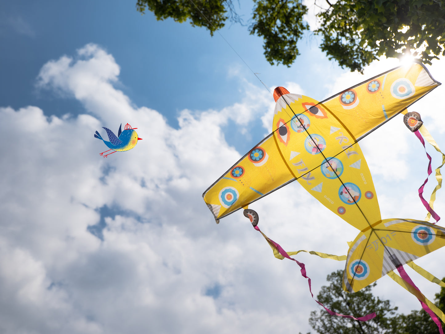 Kite - Maxi Plane