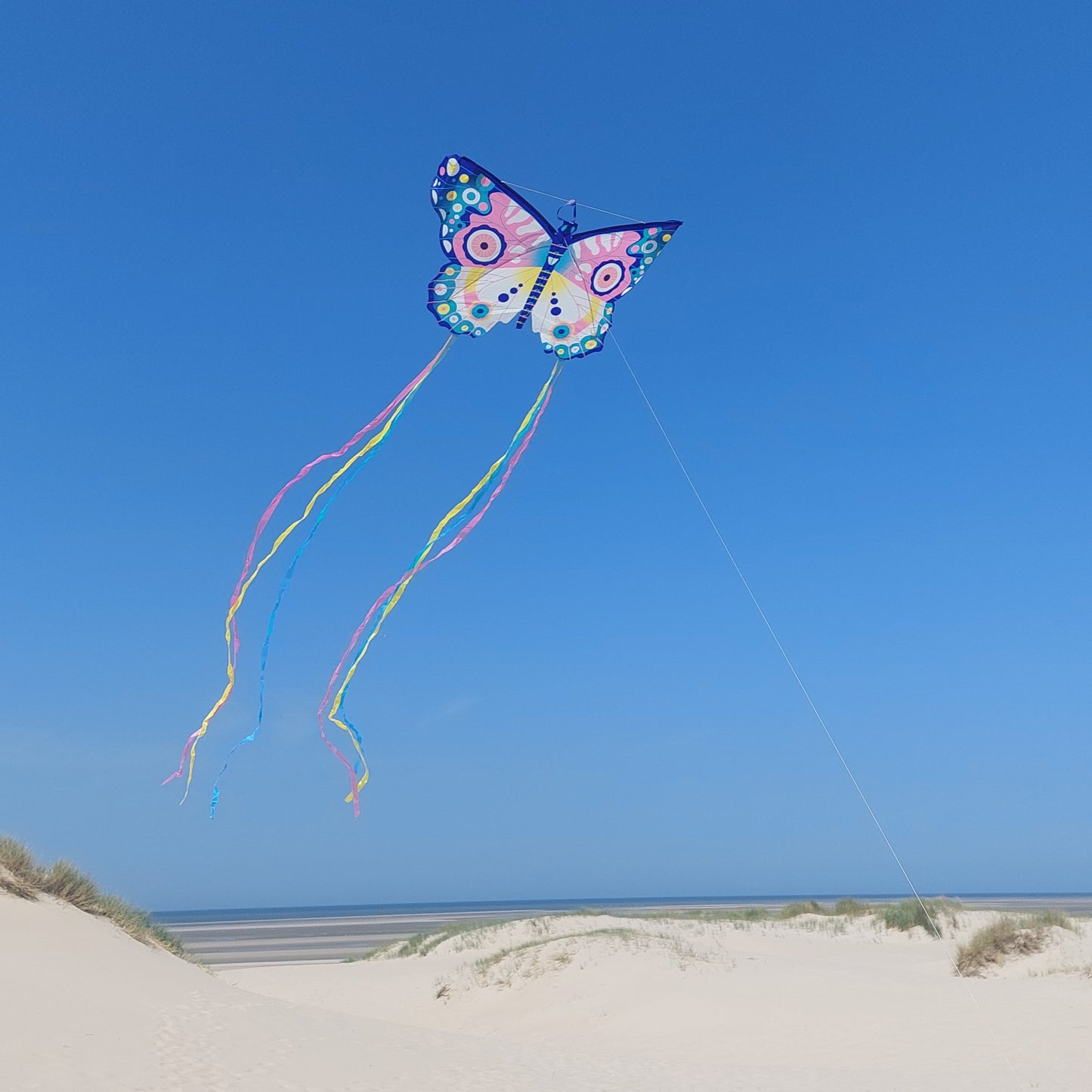 Kite - Maxi Butterfly