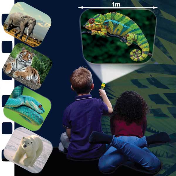 Animal Torch & Projector