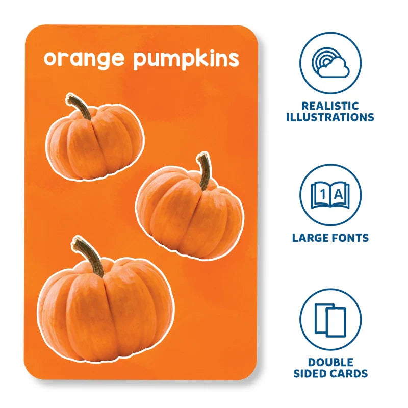 Letters, Numbers, Shapes & Colours Flashcards