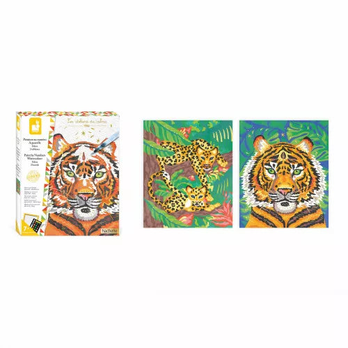 Painting by Numbers Watercolour - Feline
