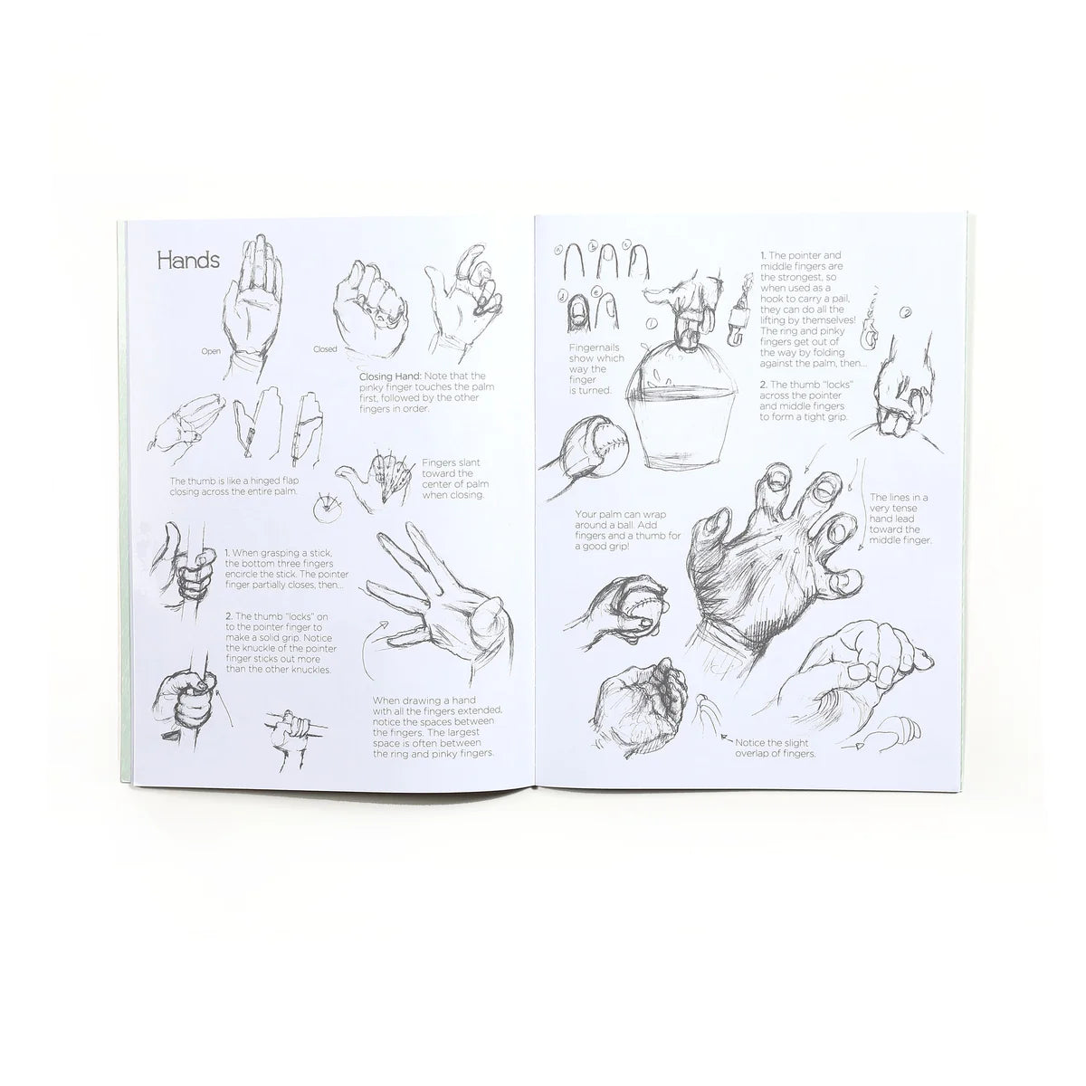 Learn to Draw People with Kevin Hawkes