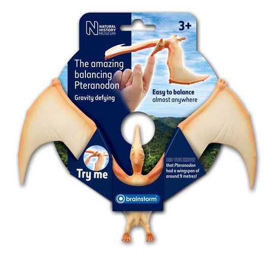 Natural History Museum - The Amazing Balancing Pteranodon