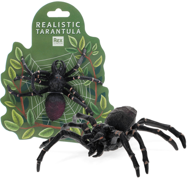 Realistic Tarantula Spider