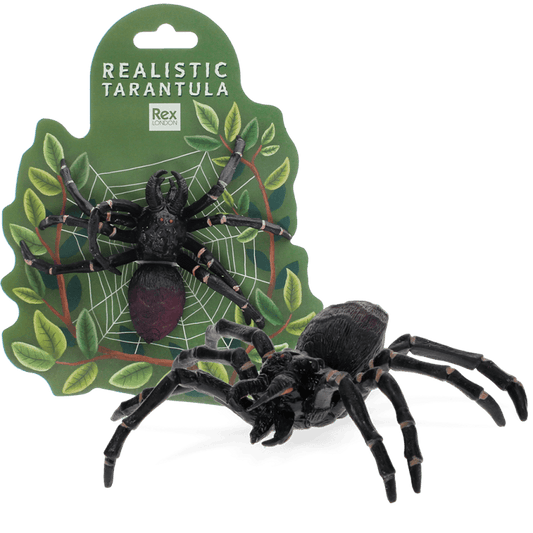 Realistic Tarantula Spider