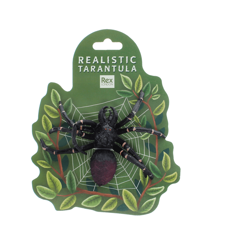 Realistic Tarantula Spider