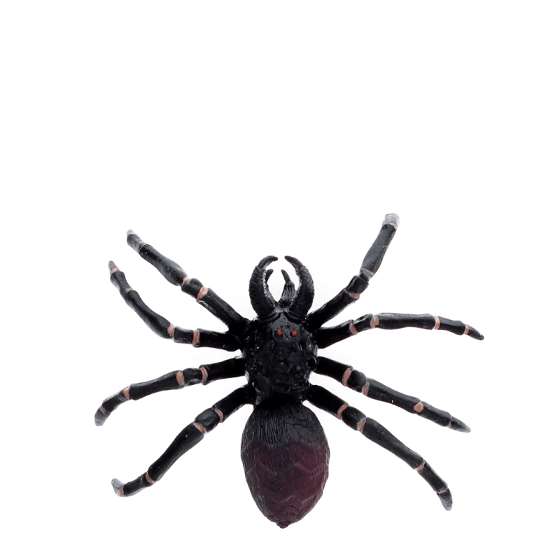 Realistic Tarantula Spider