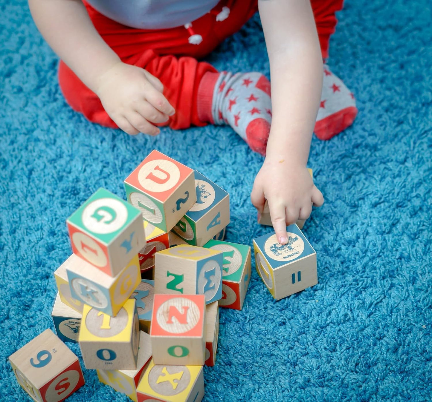 Mr Dendro Classic ABC Blocks (English)