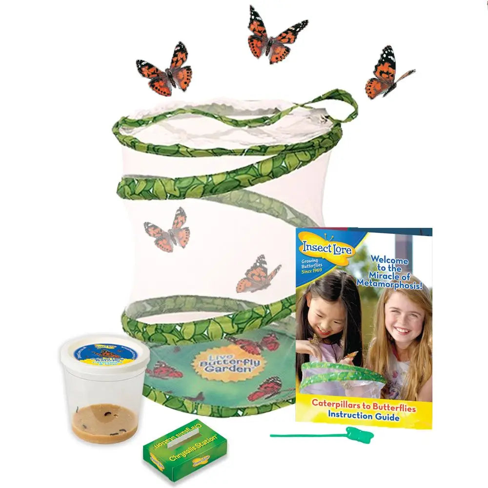 Insect Lore - Butterfly Garden