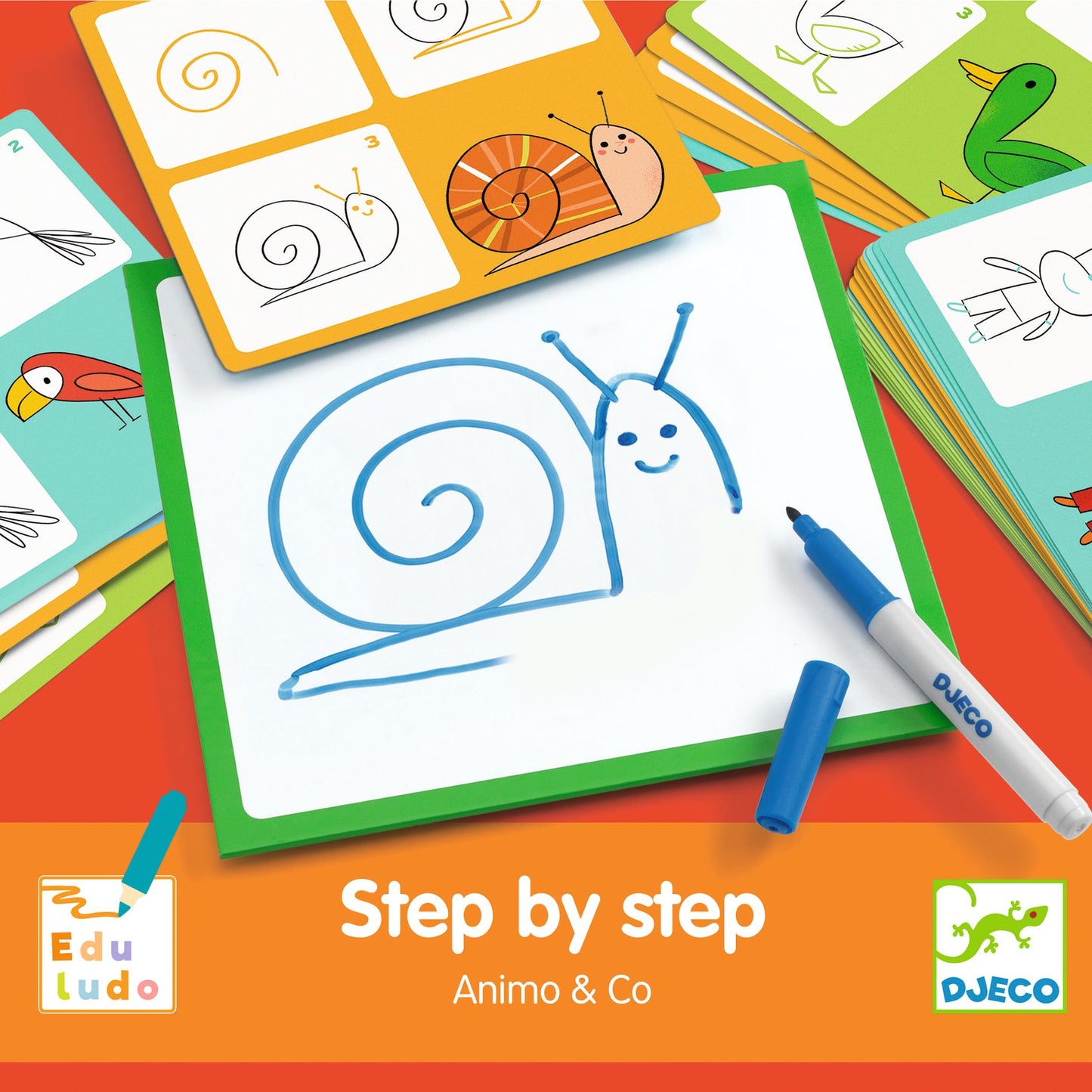 Step By Step Drawing - Animals & Co