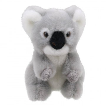 Koala Mini