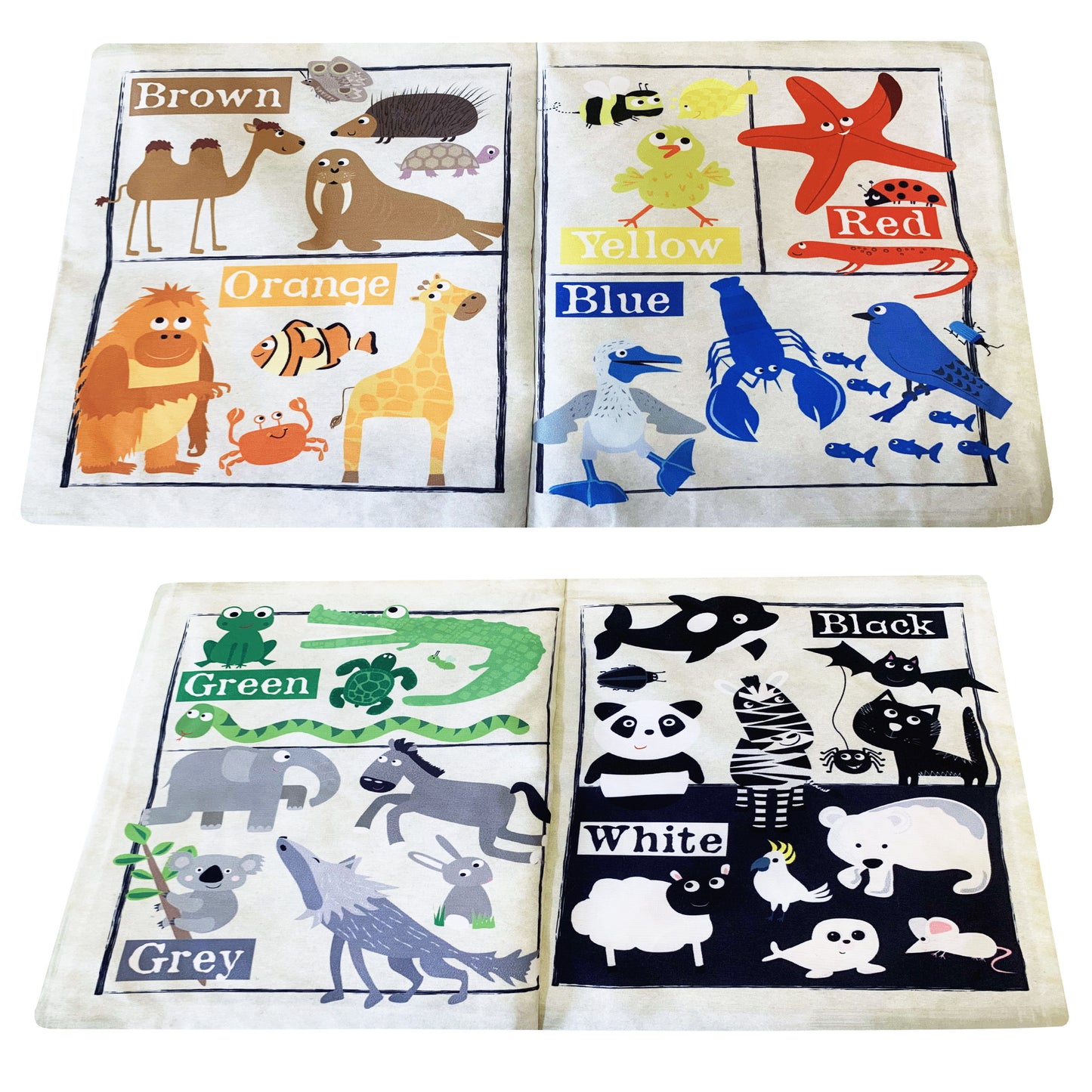 My First Crinkly Newspaper - Colourful Creatures