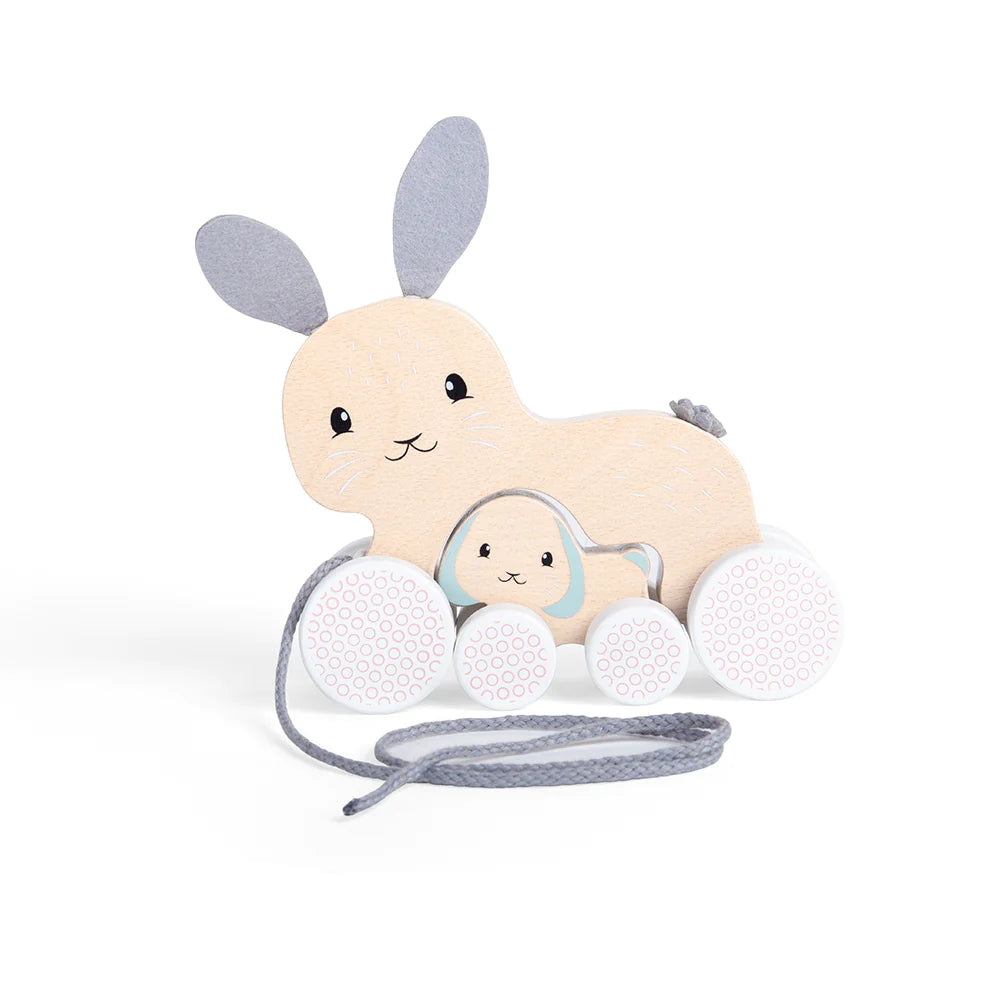 Bunny and Baby Pull Along