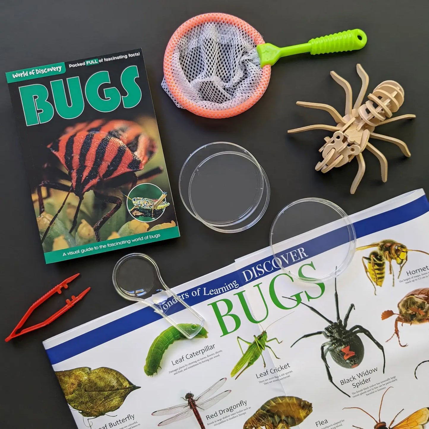 World of Discovery Bugs Educational Box Set