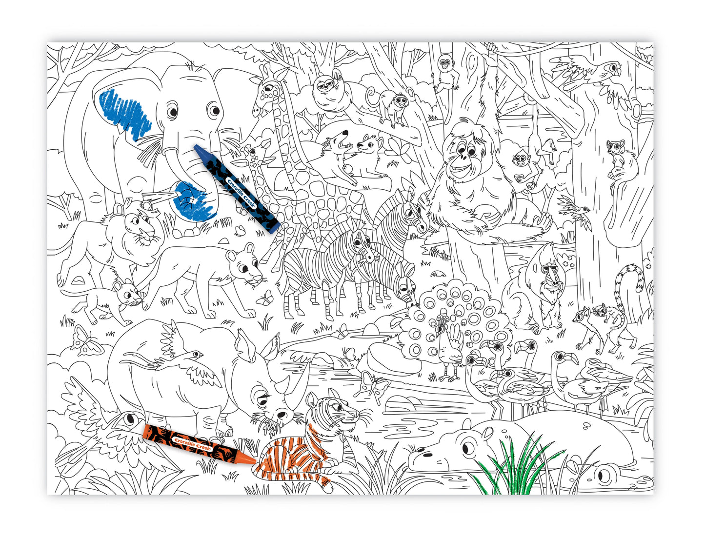 Colouring Poster Tube - Jungle Animals