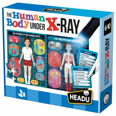 The Human Body Under X-ray Puzzle