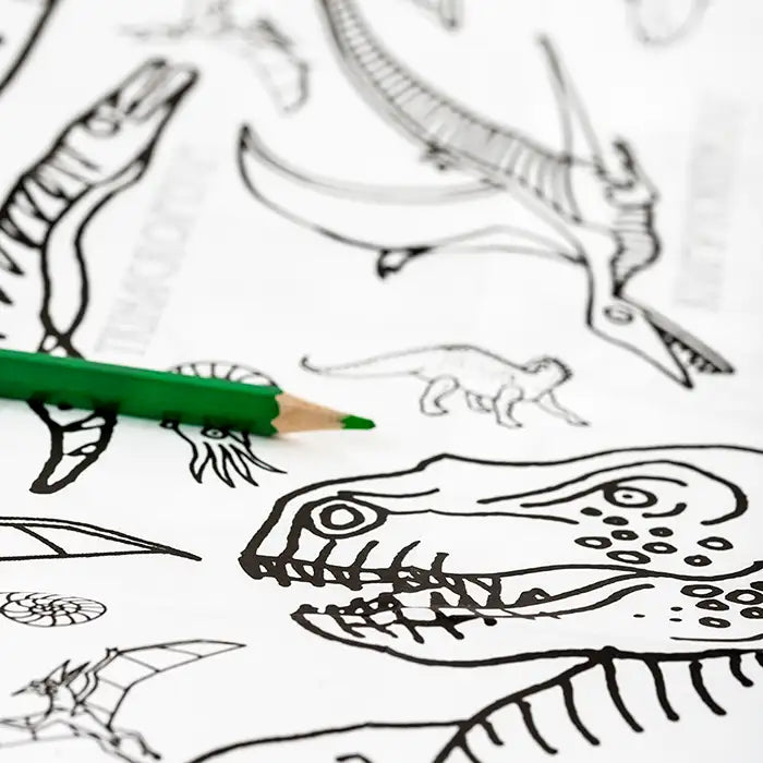 Colour In Giant Poster/ Tablecloth Dinosaur