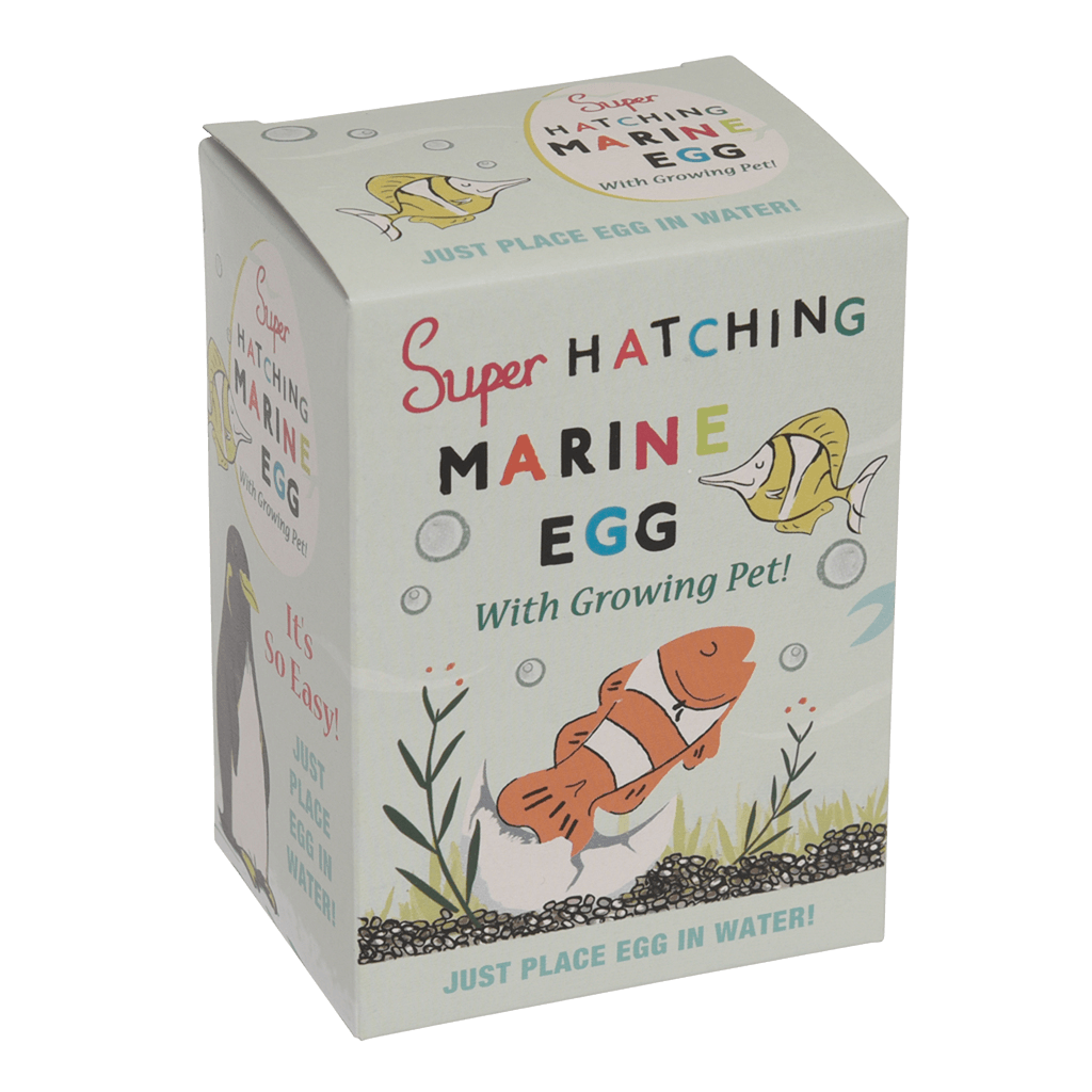 Hatch Your Own Marine Animal – Toytastik